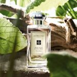 Jo Malone London Wood Sage & Sea Salt Cologne 100ML