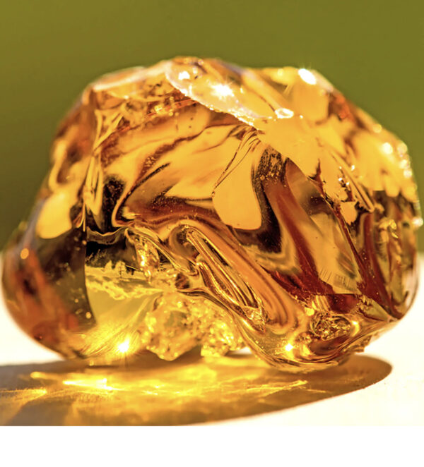 Michael Kors Sexy Amber Eau De Parfum 100ml